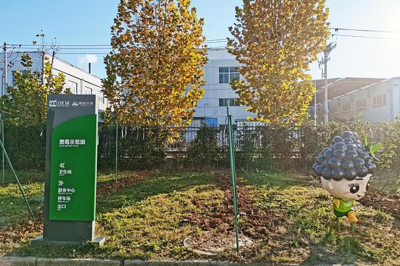线路一:亲子游研学路线(90min)