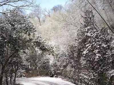 逐梦扬威 熔铸辉煌