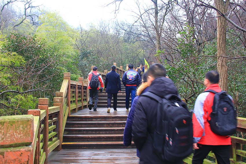 开年登高望远 百汇园迎新祈福