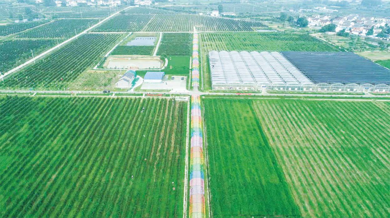 1678846190939180.jpg 1678846190939180.jpg