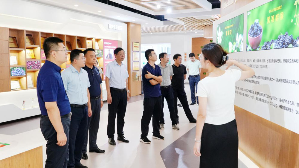 1723890705902851.jpg image007.jpg