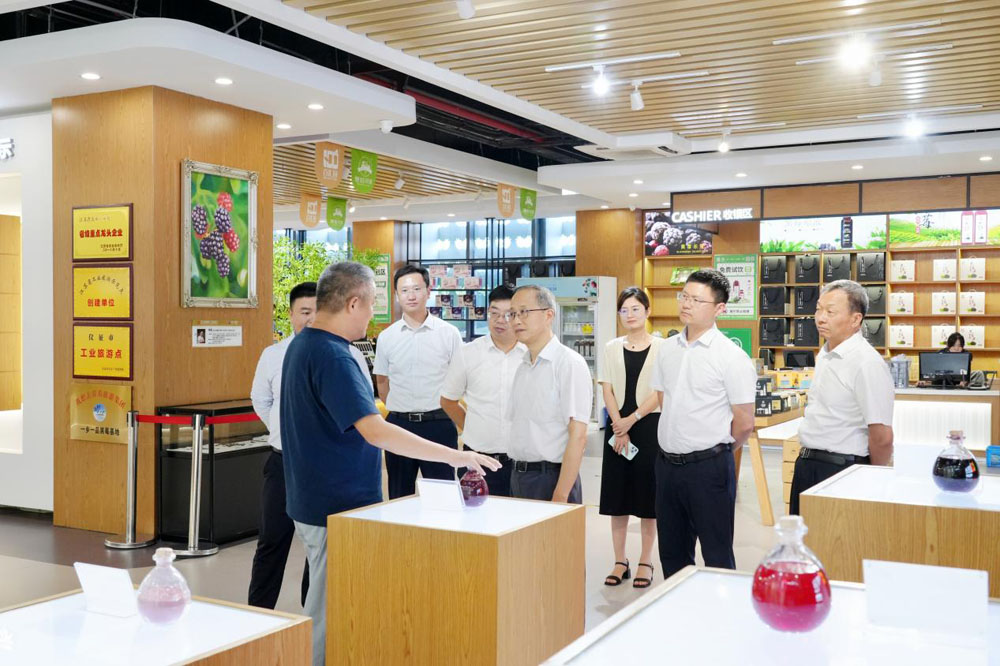 1724655632616913.jpg image003.jpg